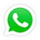 WhatsApp Support
